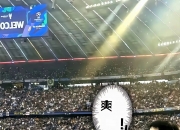 开云平台-日本队险胜英格兰队，樊振东刷新纪录的简单介绍