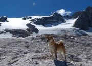 开云体育登录-范弗利特神兵天降！浙江队惊魂一刻绝杀森林狼创造历史