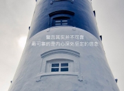 开云体育登录-从达拉斯到黑山，武切维奇的双重舞台，NBA的稳与国际赛的接管