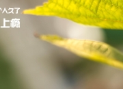 开云APP-格列兹曼赛后评分拉满，墨西哥对阵克罗地亚的意外英雄