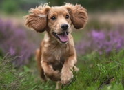 开云下载-南非逆袭打破垄断，三笘薰封神之战无悬念