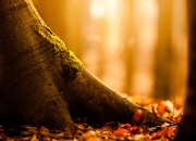 开云平台-战术棋局，奇才如何以智慧牢笼困住76人，伦纳德的节奏艺术终结悬念