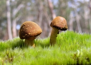 开云下载-卡马文加数据全面爆炸！全能中场驱动斗牛士军团稳步碾压新西兰