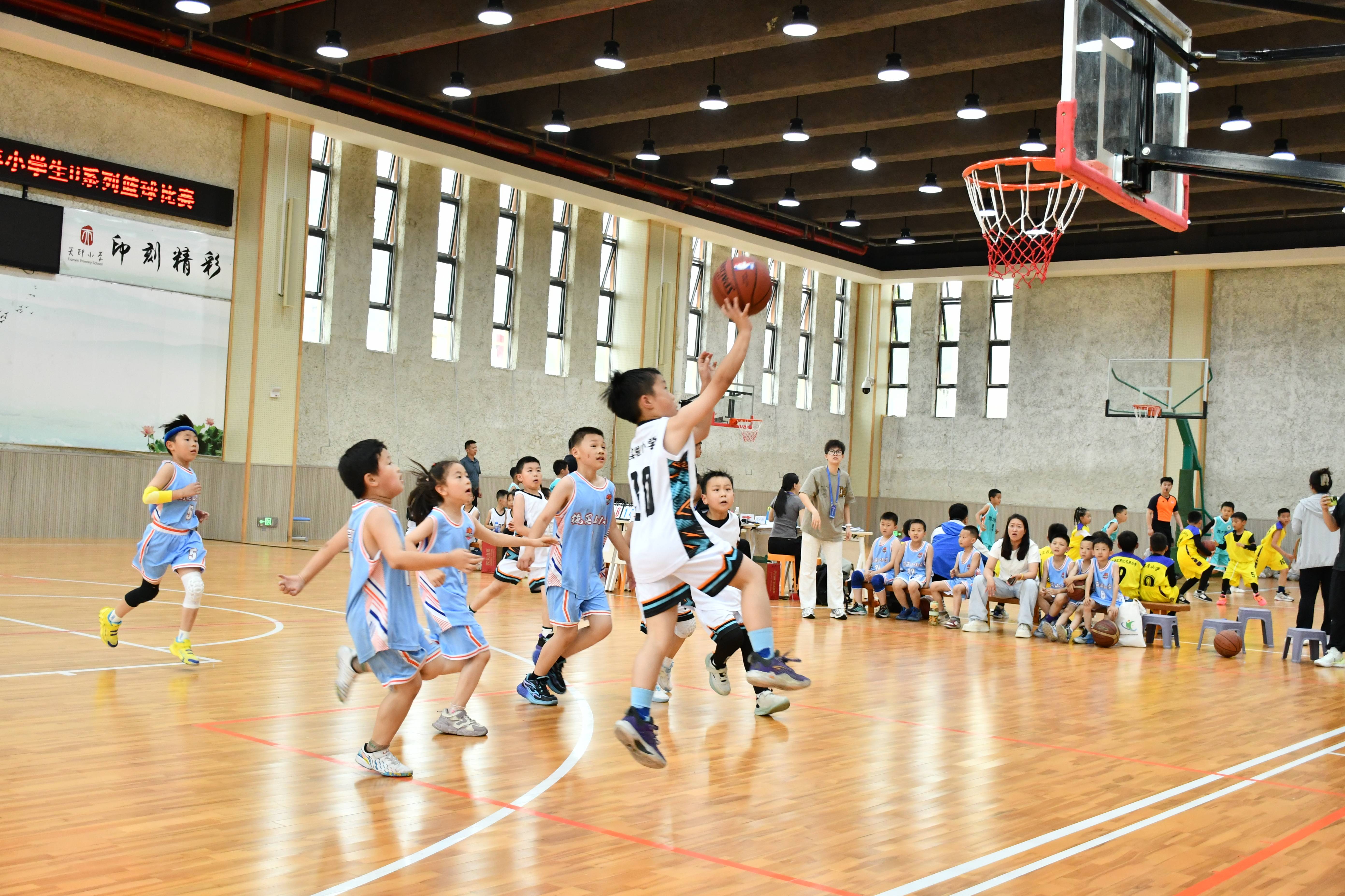 包含篮球职业联赛新赛季报名火热进行的词条