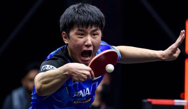 葡萄牙队轻取德国队,张本智和状态火热 葡萄牙队轻取德国队,张本智和状态火热