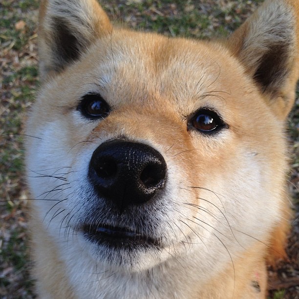 宿命终破！三分雨湮灭王朝，国王抢七战击碎北京十年荣耀
