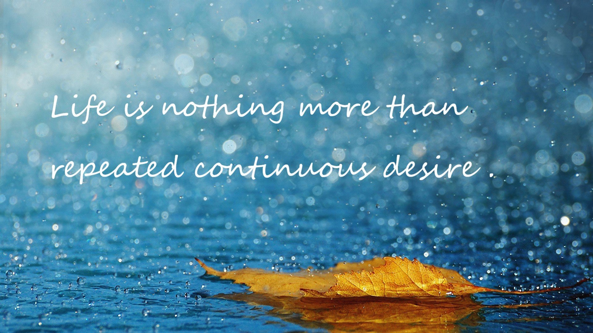 加勒比风暴席卷红牛环，牙买加小将绝杀奥地利，F1王座之争骤起狂澜