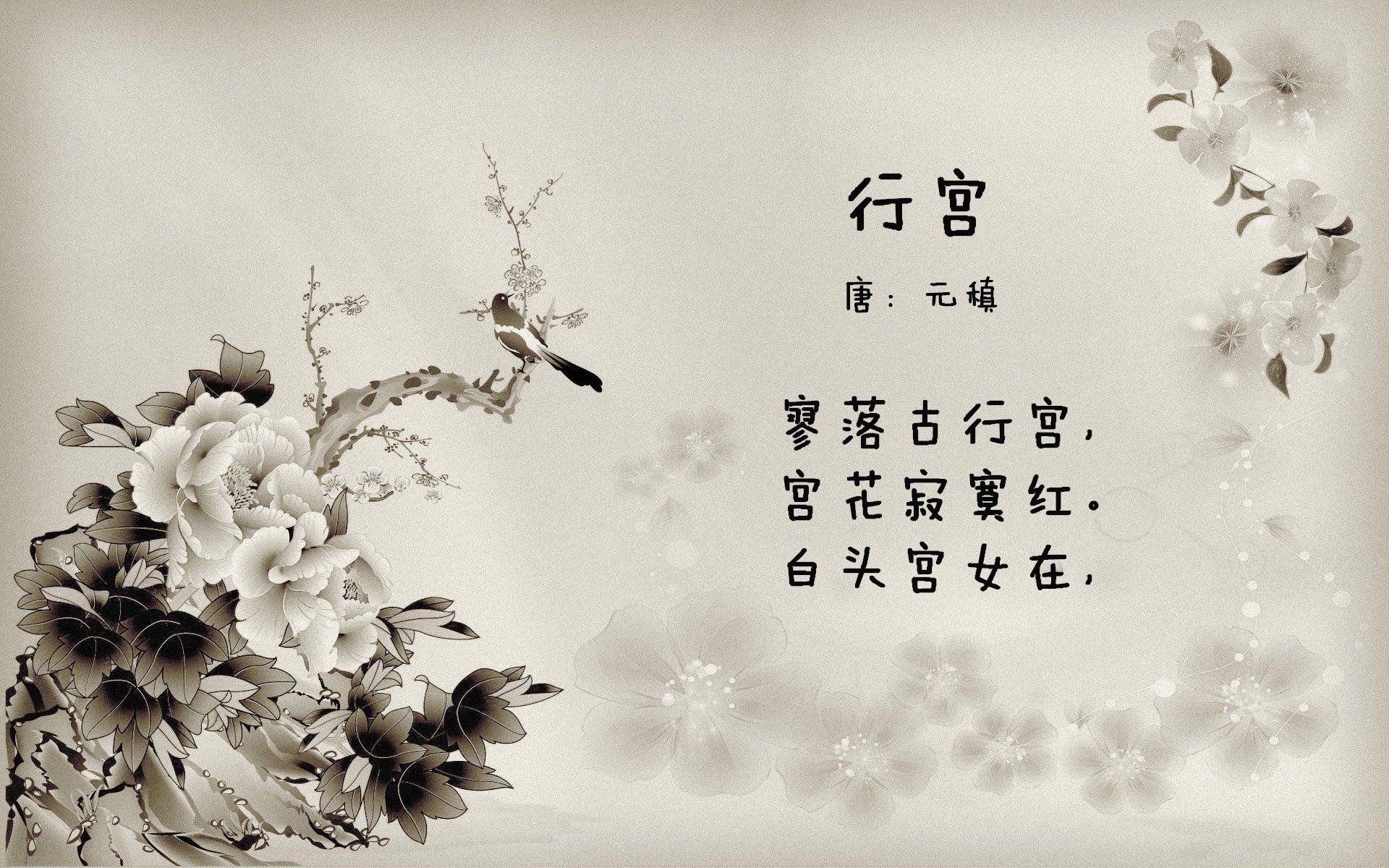 探戈铁幕,当欧冠淘汰赛遇上阿根廷式战术智慧,罗马城如何被系统性拆解