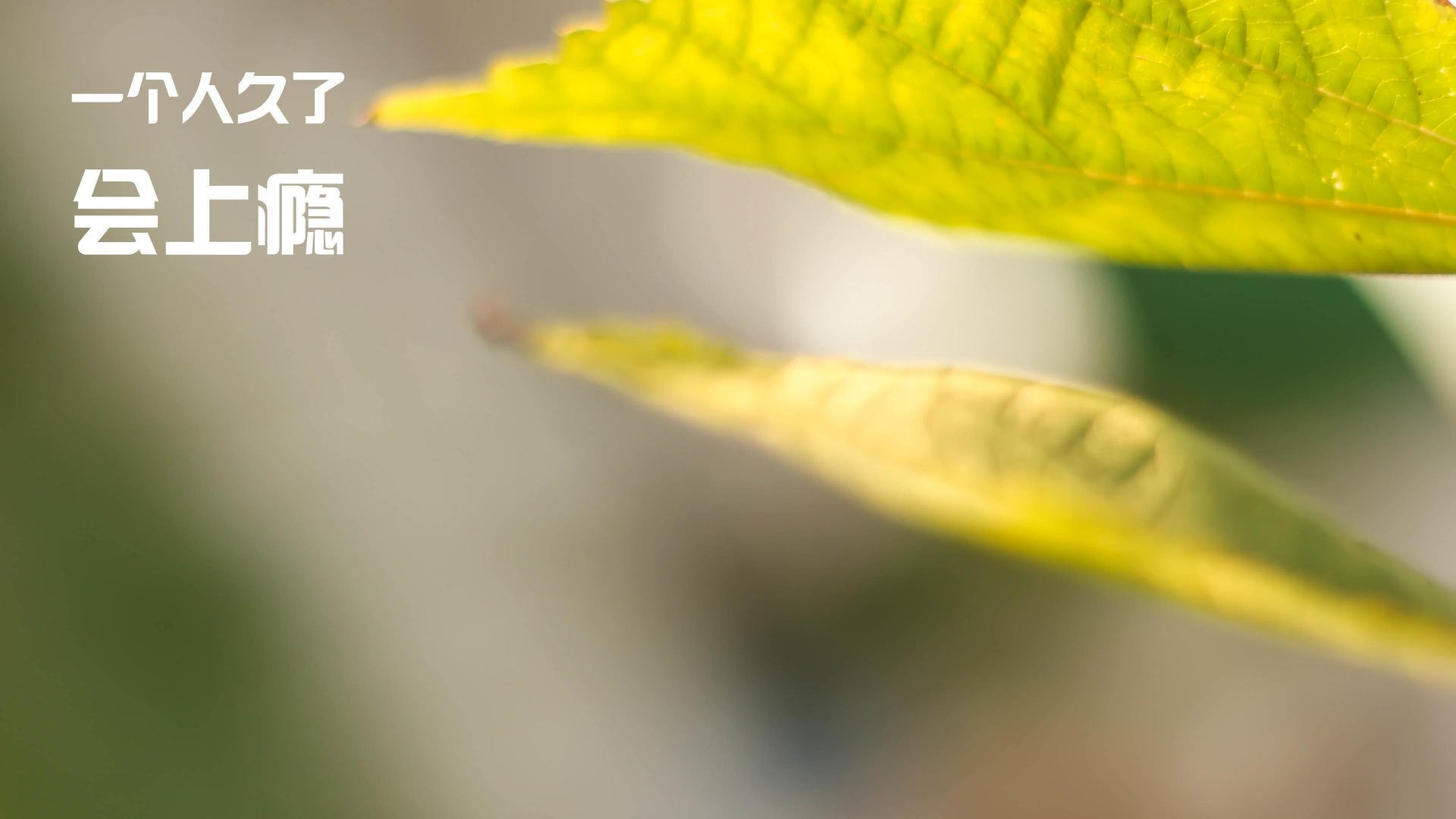 格列兹曼赛后评分拉满，墨西哥对阵克罗地亚的意外英雄