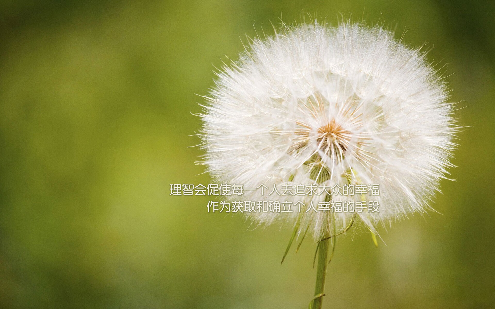 圣西罗奇迹,卢卡库化身绿茵战神,AC米兰史诗级逆转掀翻曼城王朝