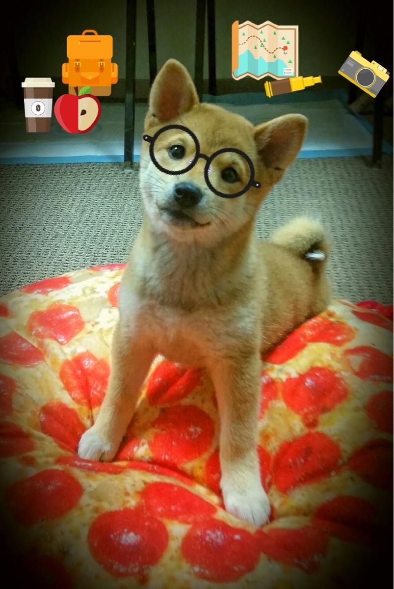 小国掀翻战舰！阿什拉夫神勇扑救，几内亚强势击败比利时改写历史