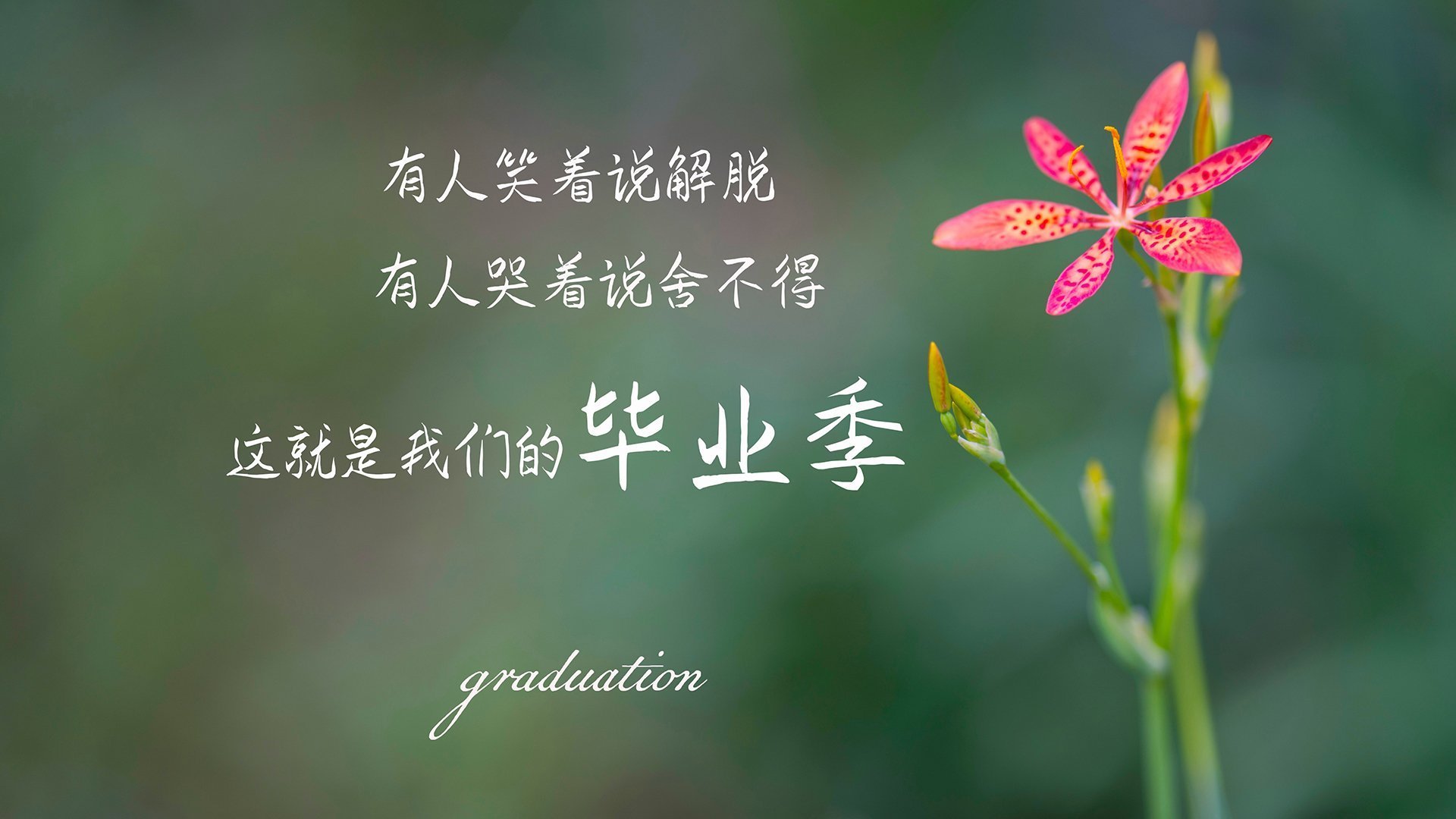 外科手术般精准!伦纳德化身球场指挥官,辽宁队高效打穿山西防线