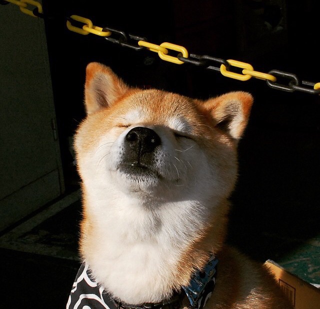 哈登压哨绝杀定乾坤,猛龙唯一之战击败上海队—跨洋对决中的关键先生传奇