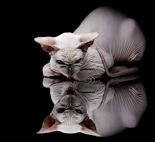 以凡人之躯,行神迹之事,哥斯达黎加的战术铁幕与内马尔的破局之战