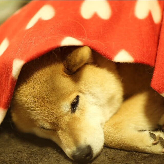 亚洲刺客的致命一击,黄喜灿如何让希腊神话在乌拉圭人面前黯然失色