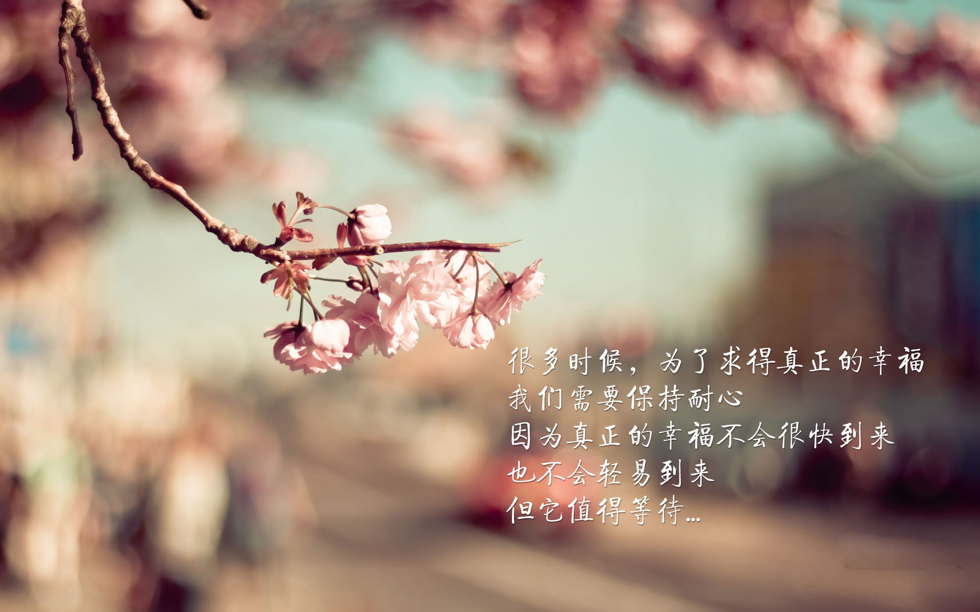 2026世界杯C组强强对话,奥地利横扫罗马尼亚,萨卡闪耀全场,门将神勇铸就唯一经典